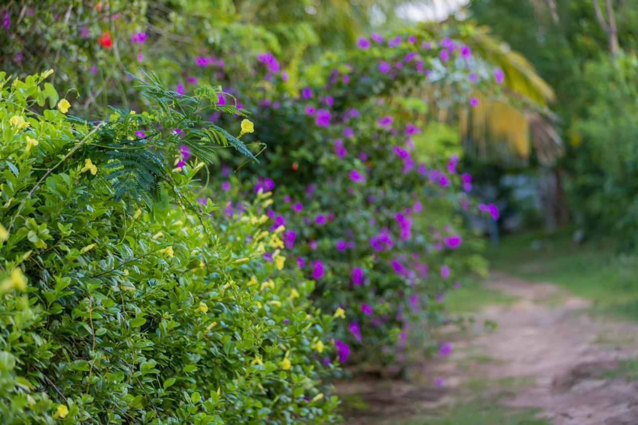 Rock Violet Lakefront Cabanas & Restaurent Tangalle Exterior foto