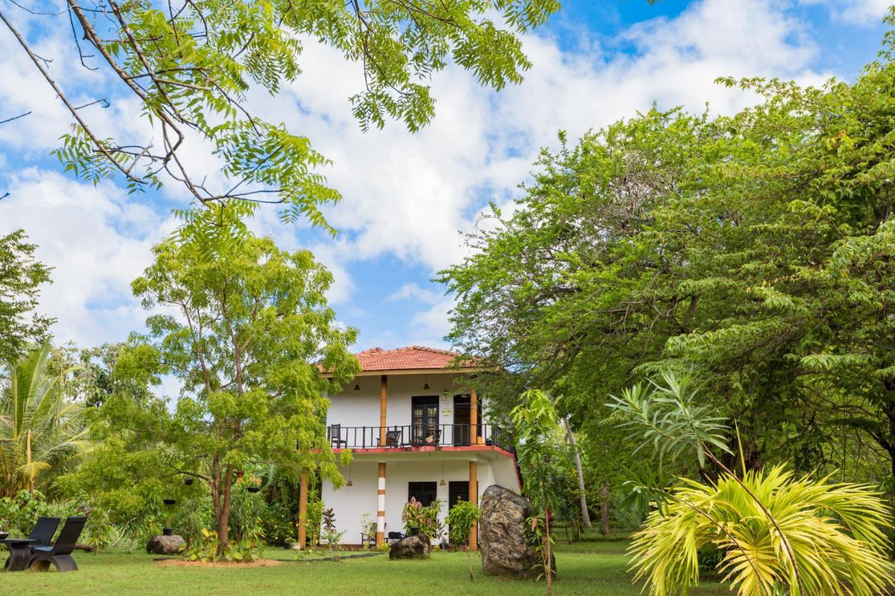 Rock Violet Lakefront Cabanas & Restaurent Tangalle Exterior foto
